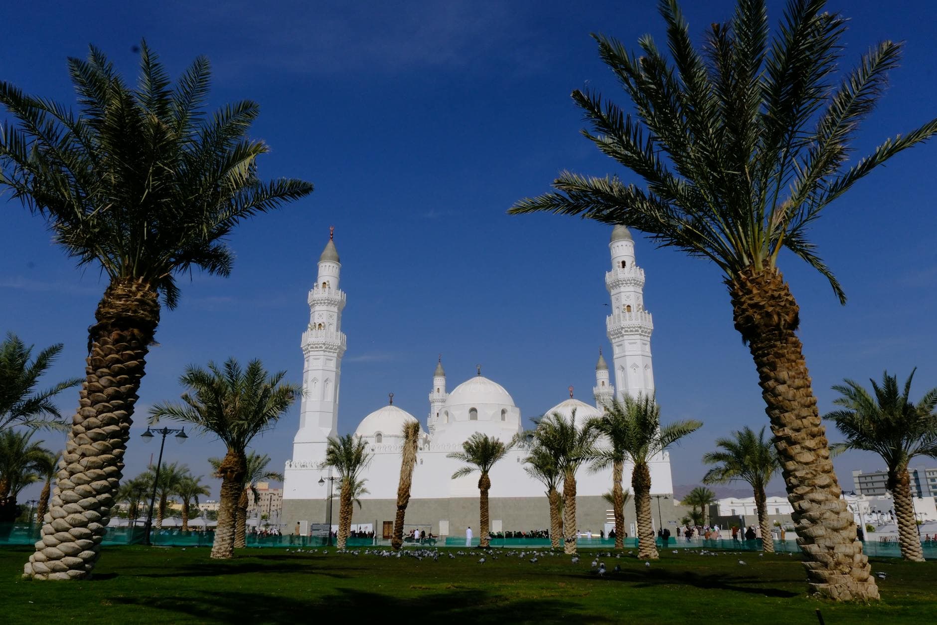 كرة القدم السعودية بالأرقام — ثورة رياضية بمليارات الدولارات