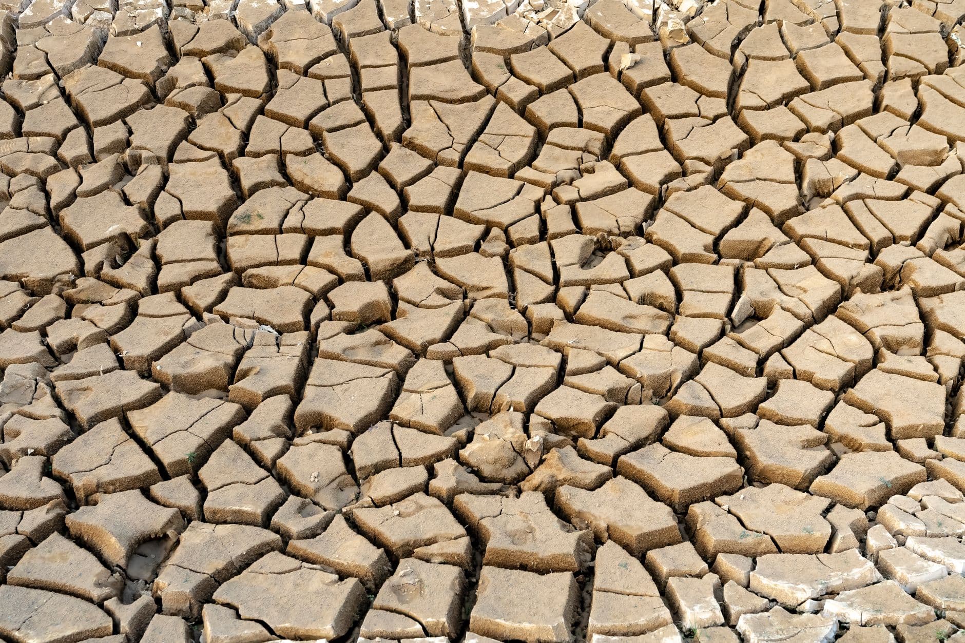 نقص المياه في العالم العربي بالأرقام — أزمة متفاقمة تهدد الأمن والاستقرار