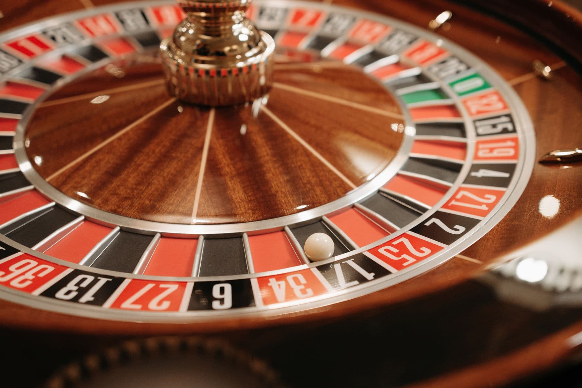 الكاكاو يهبط 34%.. لا انخفاض لأسعار الشوكولاتة