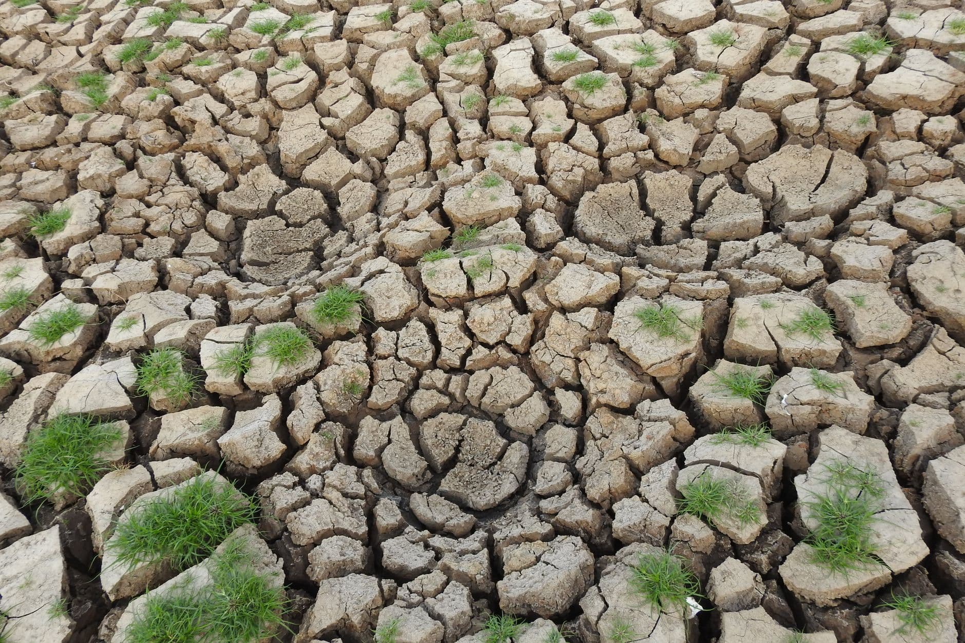 الدول العربية الأكثر تضرراً من تغير المناخ