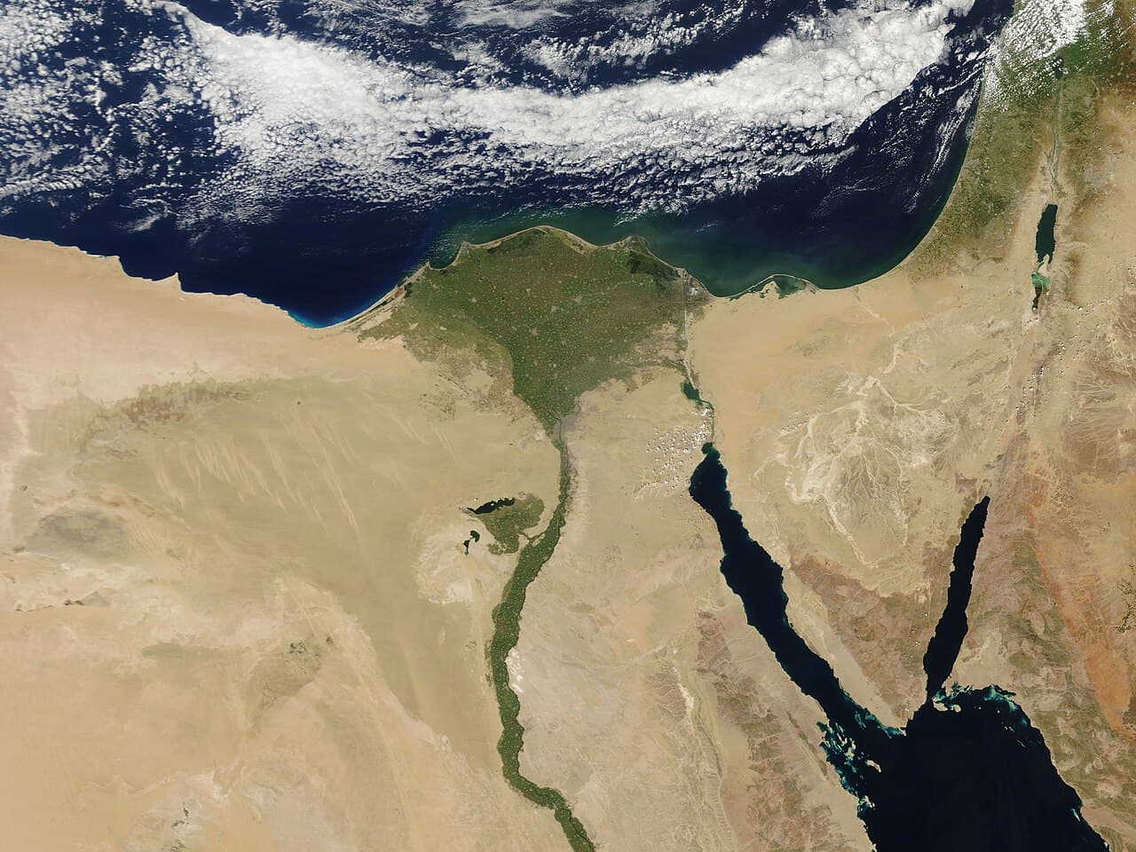 المناطق الرطبة في مصر: واحات الحياة والتنوع البيولوجي
