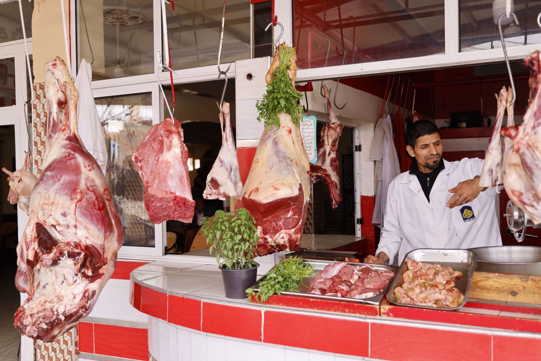 مناظرة: هل يجب دمج اللحوم المُصنّعة مخبرياً في سلاسل الإمداد الغذائي العالمية؟