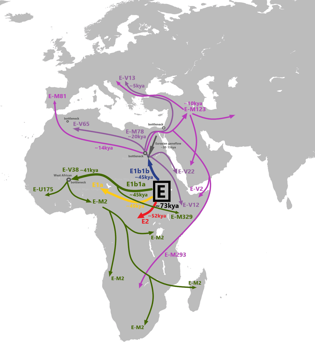 1.9 مليون سنة تحت الأردن ترسم خريطة الهجرة