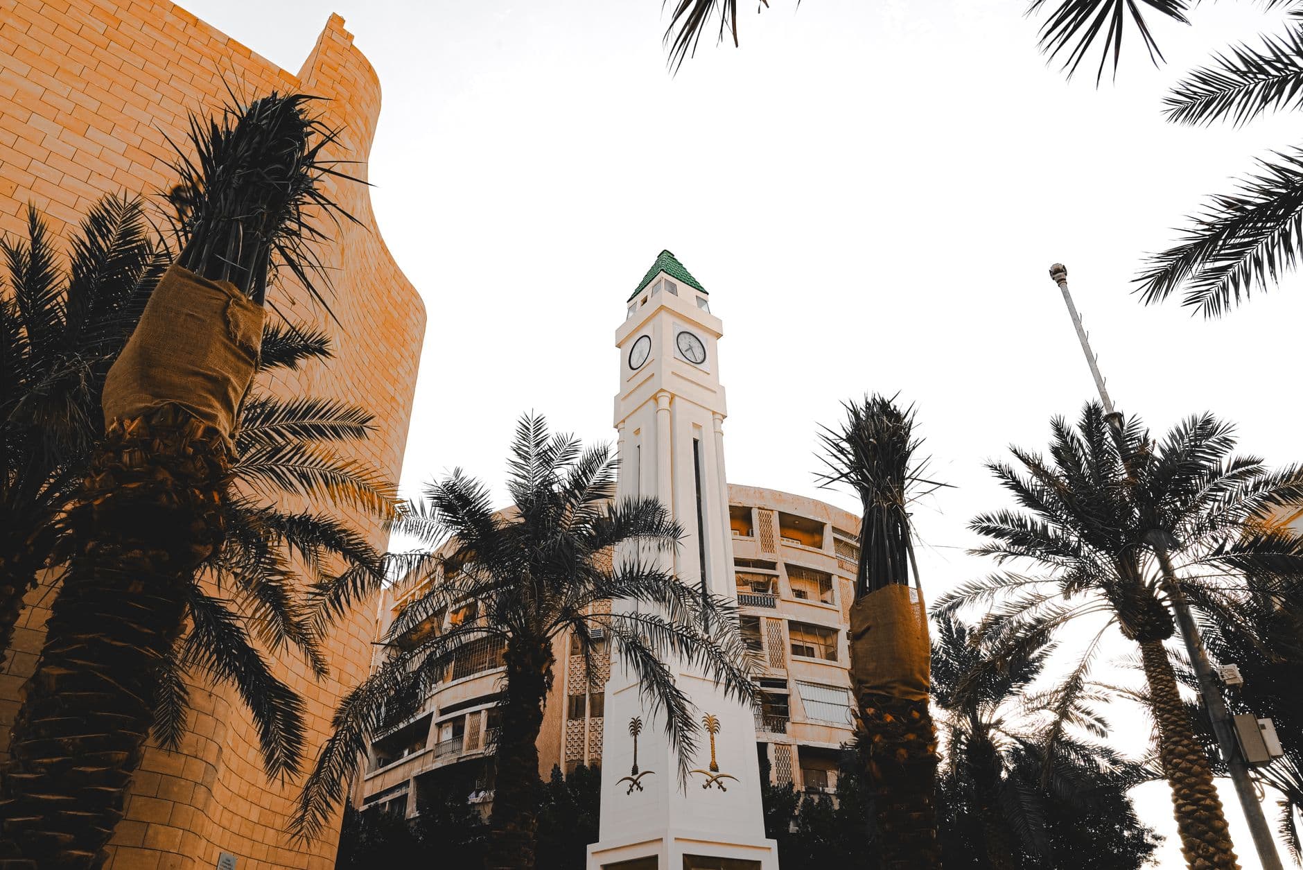 معدلات انتشار السمنة في محافظات المملكة العربية السعودية (2023-2024)