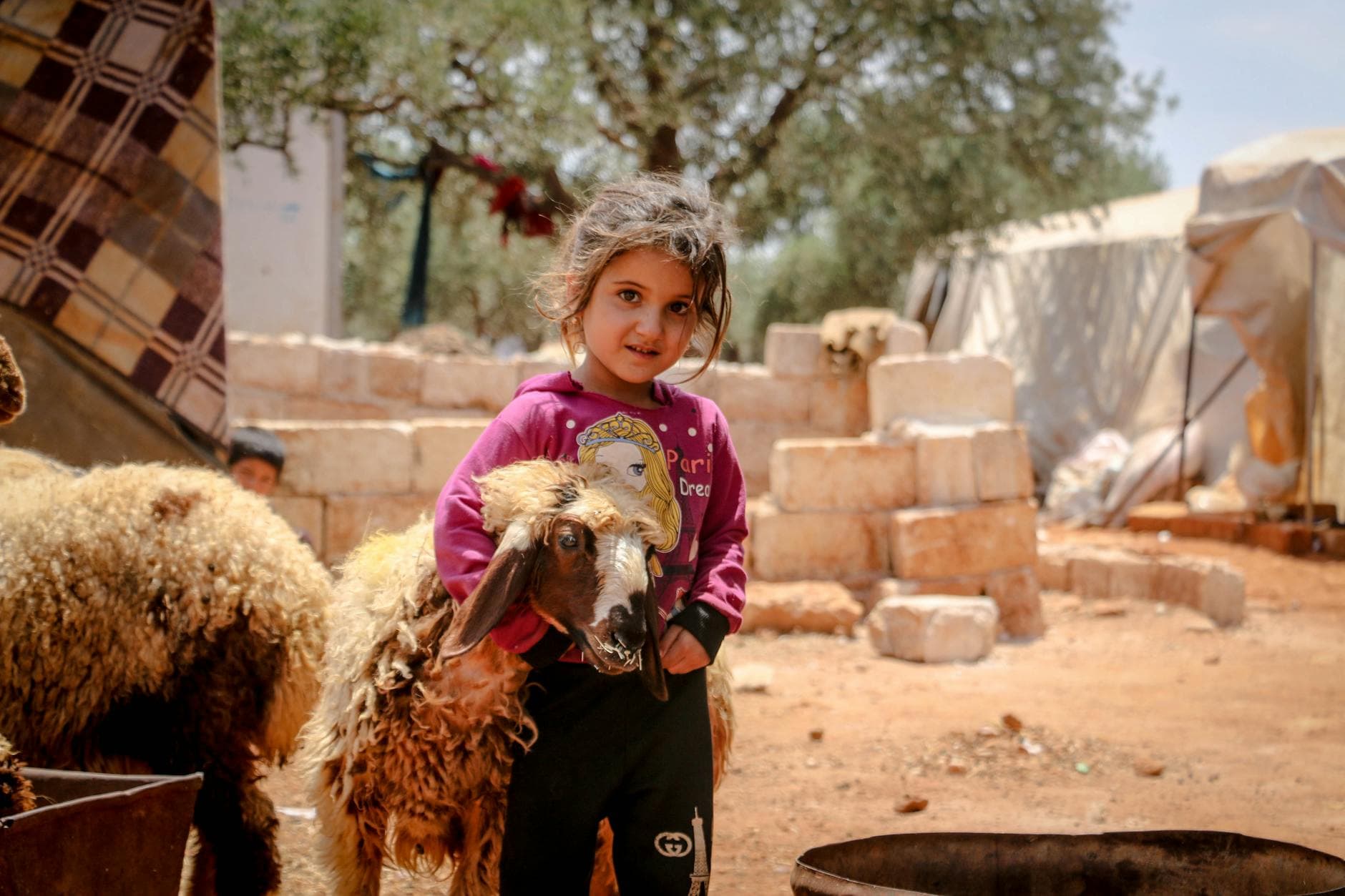 موجز: ظاهرة الزواج المبكر في المناطق الريفية العربية تتفاقم رغم الجهود القانونية