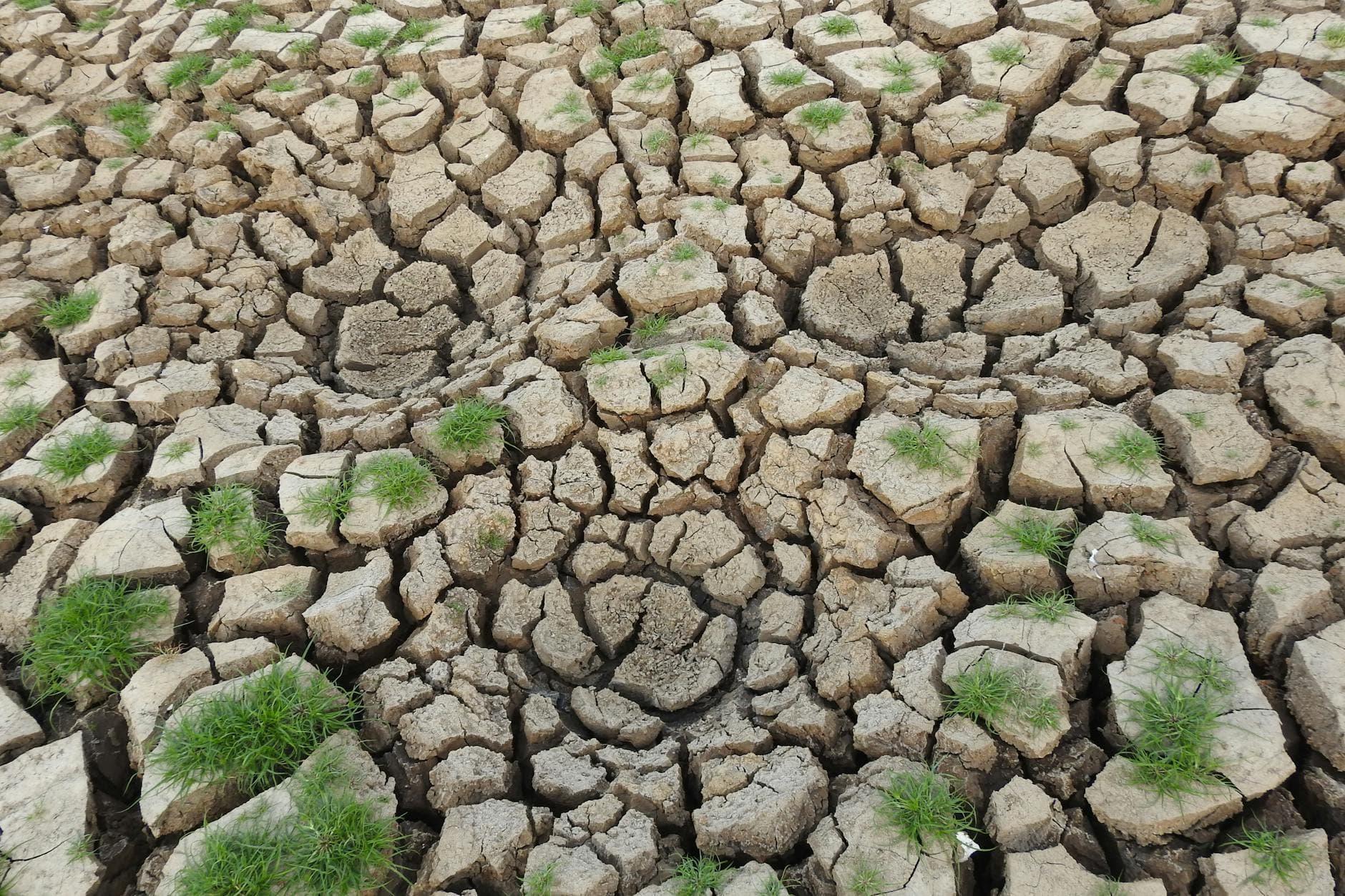 الموارد المائية العذبة بالأرقام — كيف يُعيد الجفاف رسم خريطة الأمن الغذائي العالمي