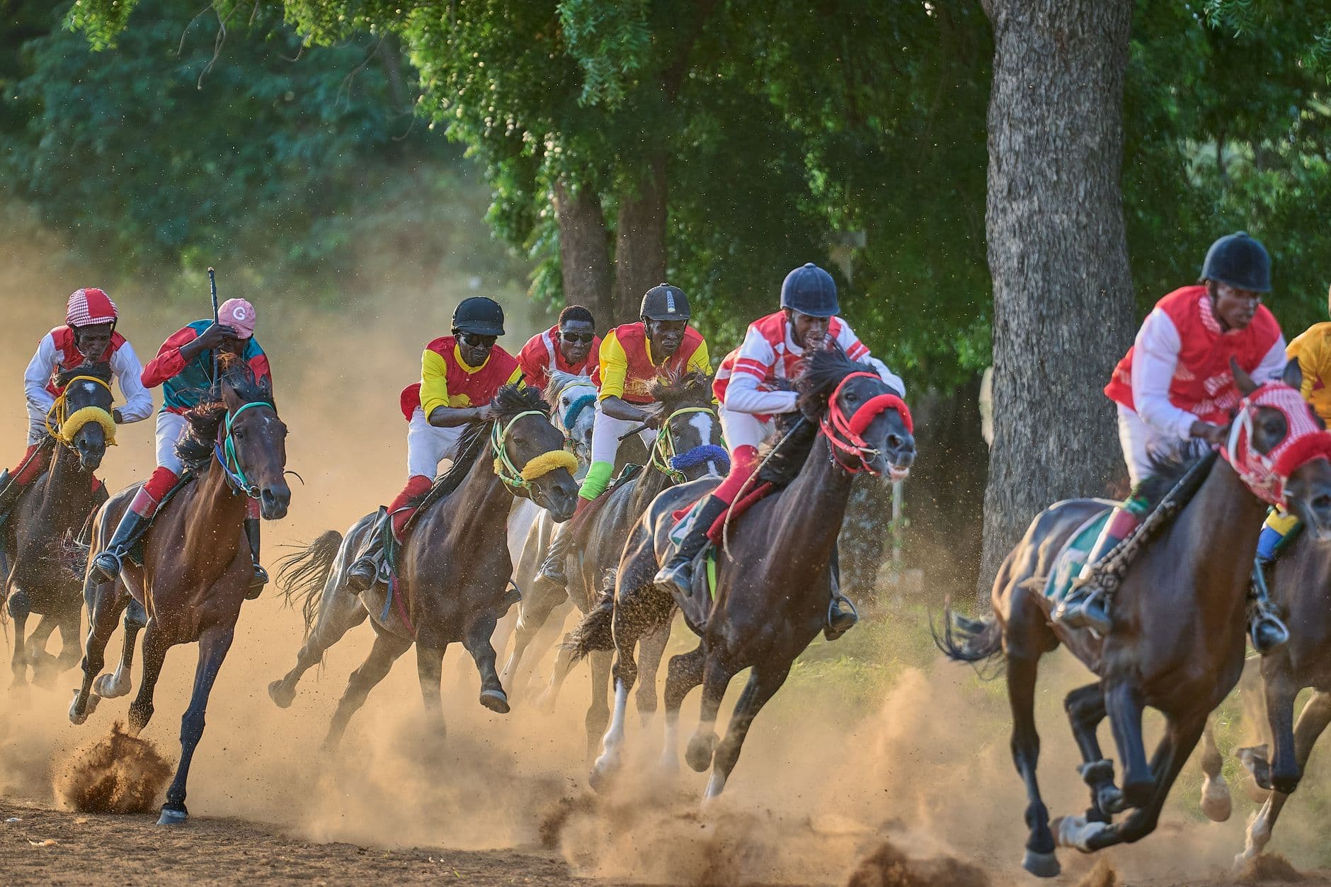 سباقات الخيل: رحلة من التراث العريق إلى العالمية