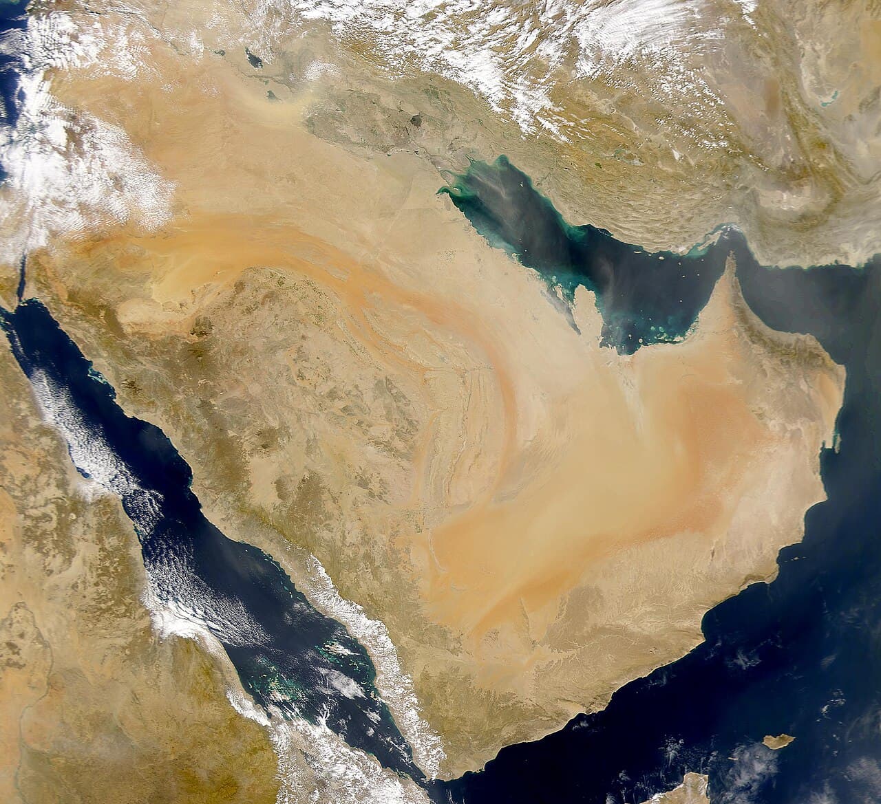 المساحات الخضراء ومحميات الحياة البرية في محافظات مصر