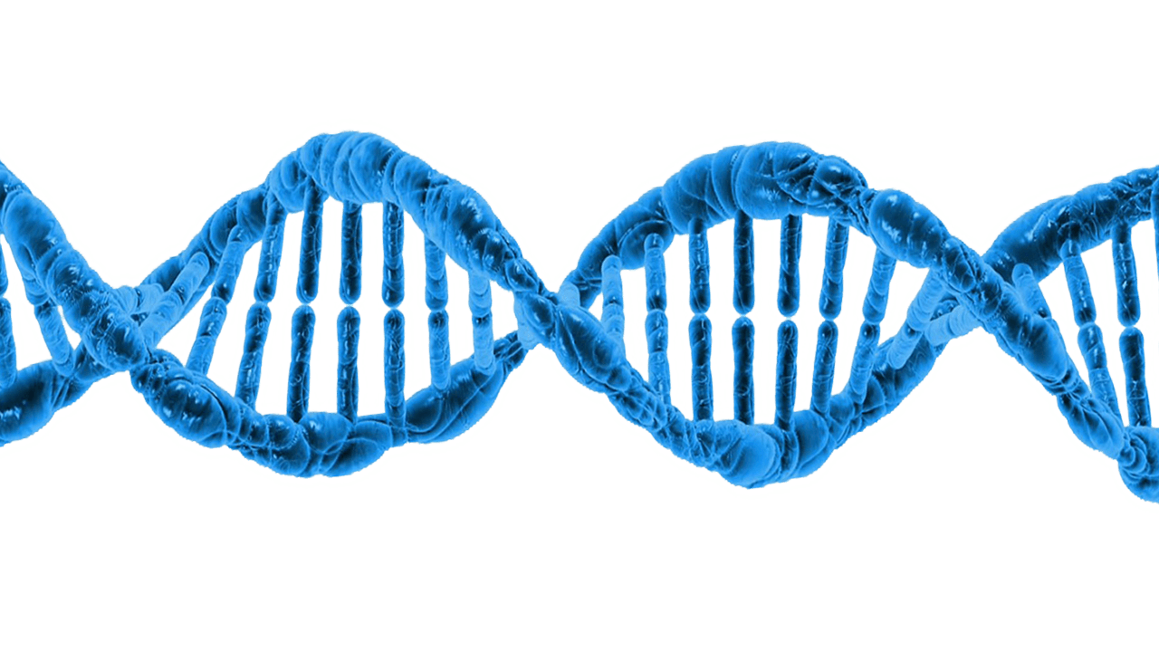 تاريخ الحمض النووي (DNA) من الاكتشاف إلى التحرير الجيني (1869-2026)