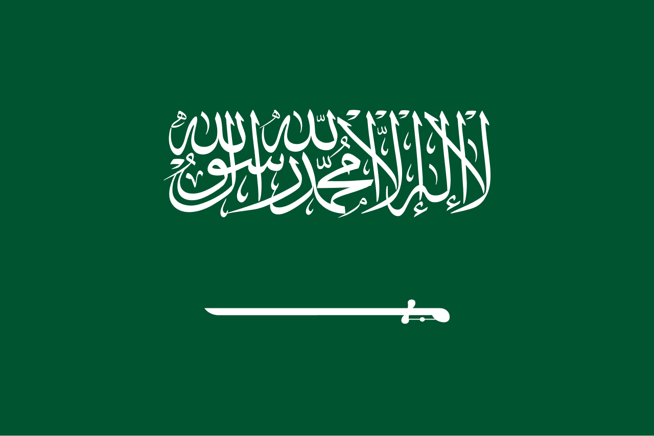السعودية توثّق 1774 أثراً جديداً في محافظة المهد