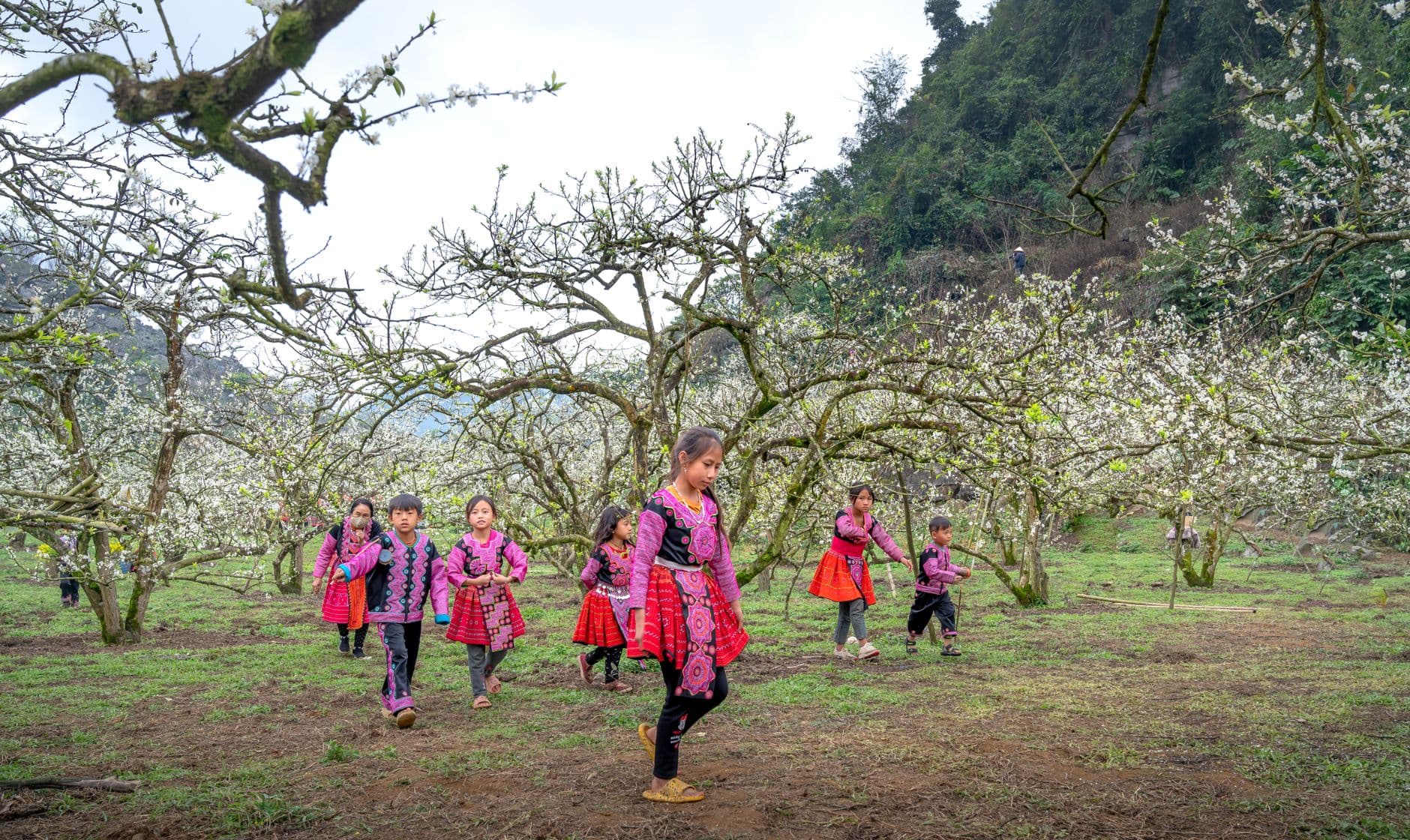 130 شخصاً يتلقون تدريبات اليقظة في Plum Village