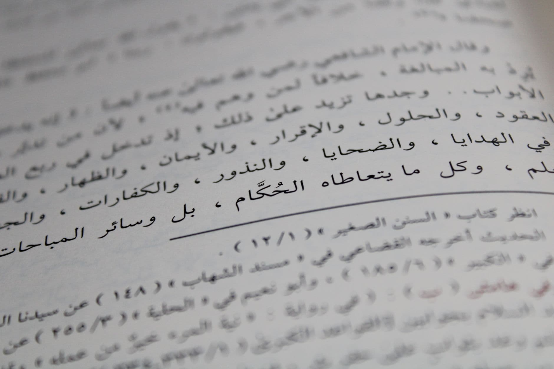 أسئلة شارحة: تأثير السلفية الجهادية على الحركات الإسلامية المعاصرة