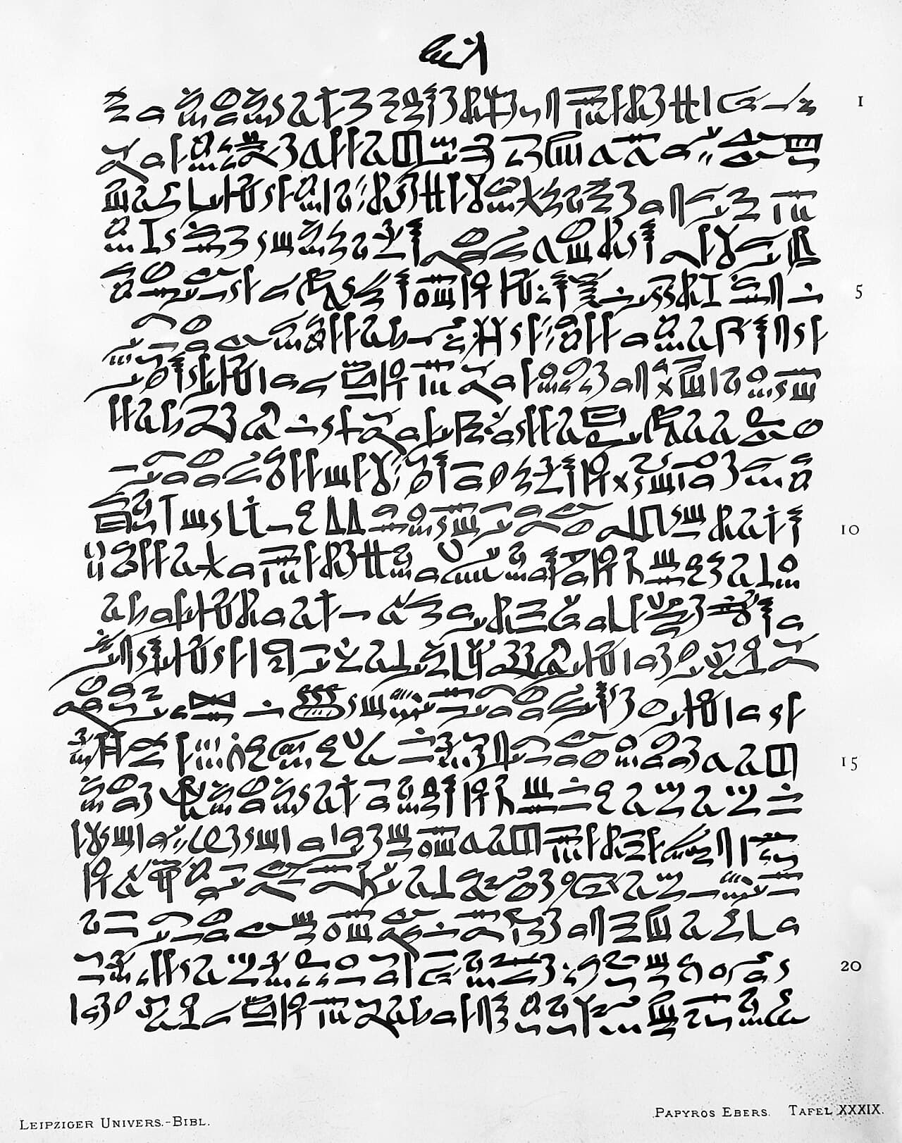 43 ألف قطعة تكتب السجل الأثري الأعلى عالمياً