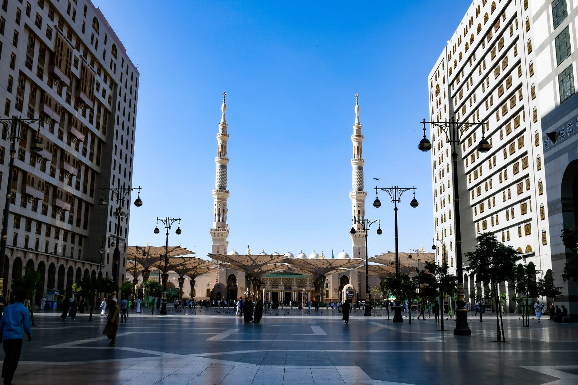 طرح «مسقا» بسعر 6 ريالات في «نمو»