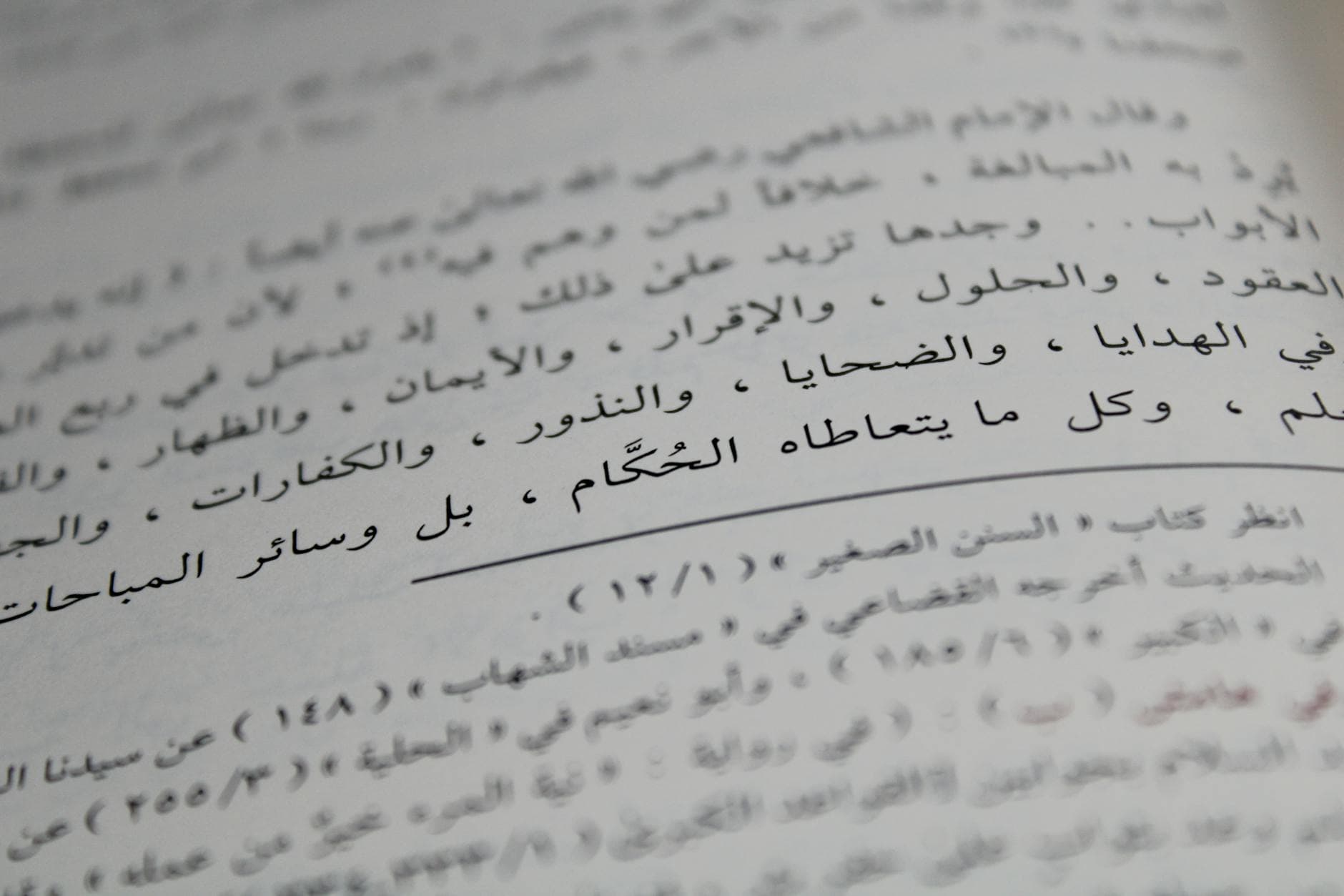 موجز: الترجمة الأدبية العربية تكسر الحواجز اللغوية وتصل للقارئ العالمي
